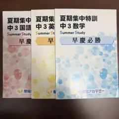 早稲田アカデミー夏期集中特訓 中3 国語 英語 数学 セット　早慶必勝