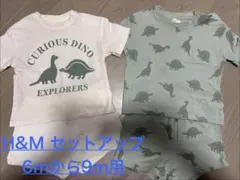 H&M 恐竜セットアップ 6mから9m用