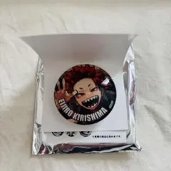 ヒロアカ 切島鋭児郎