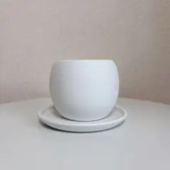 無印良品 アクアポット 外鉢 / 磁器鉢皿のサムネイル