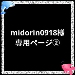 midorin0918様リクエストページ　樹脂ピアス２４本セット　ピアスキャッチ