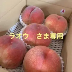 山梨一宮の今年最後の　さくら白桃の超特大サイズを5個詰めて発送　一番甘い桃