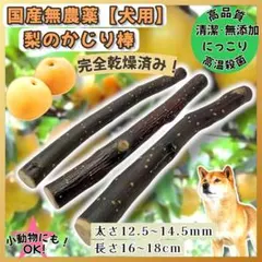 Item thumbnail for item 63845caa-0519-4e05-93de-d48a040f29d9