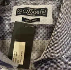 Item thumbnail for item 82c7cad0-d923-4795-be60-08ba0bc4aad5