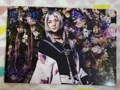 舞台『刀剣乱舞』古今伝授の太刀／塚本凌生　ブロマイド　１枚