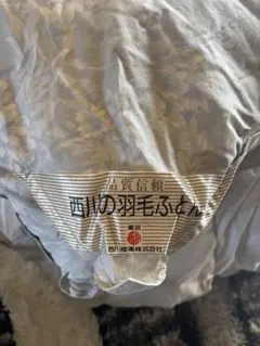 西川産業 ポーランドダウン掛け布団 150x210cmのサムネイル