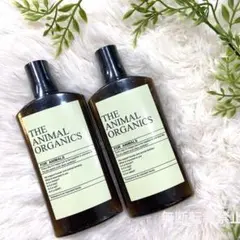 Item thumbnail for item f9d69640-b014-472a-8061-5e0eaaec0a7f