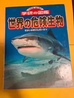 Item thumbnail for item e860e56a-ee02-4b50-b334-60a2703435eb