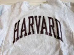 チャンピオン　リバースウィーブ　ハーバード大学