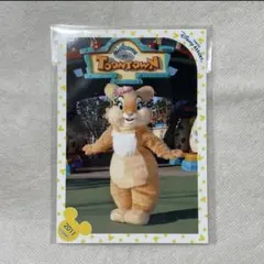 ディズニー　スペシャルフォト　スペフォ　ミスバニー　イースター　ディズニーランド