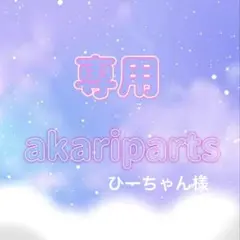 ひーちゃん様専用