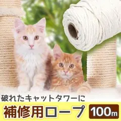 Item thumbnail for item 66dd7994-c04d-4919-9545-c37ab408e422