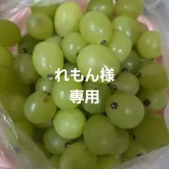 れもん様専用