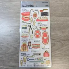 大人の図鑑シール 歯編