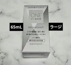 【新品】【ラージ】付けかえ用 ONE BY KOSÉ メラノショット P