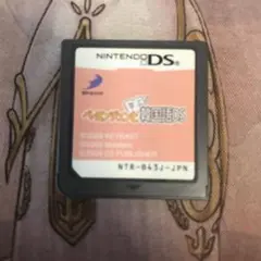 ペヨンジュンと学ぶ韓国語DS DS ソフト