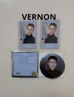 SEVENTEEN　セブチ　バーノン　NEW_　インスタントフォト　缶バッジ