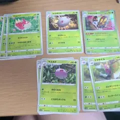 ケムッソ　進化ライン　まとめ売り