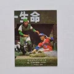 2025年最新】プロ野球カード太平洋クラブライオンズの人気
