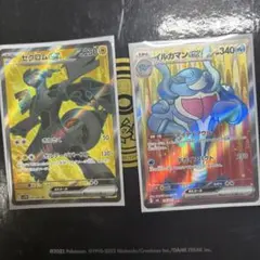ゼクロムex イルカマンex SR 2枚セットのサムネイル