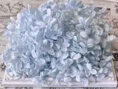 おみおみ様 リクエスト 2点 まとめ商品