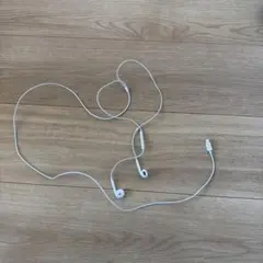 Apple イヤホン　ライトニング端子