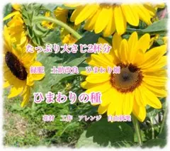 2026年最新】ひまわりの人気アイテム - メルカリ