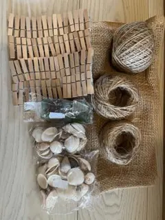 ウェルカムスペース　貝殻　シーグラス