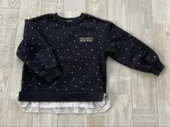 プティマイントレーナー110