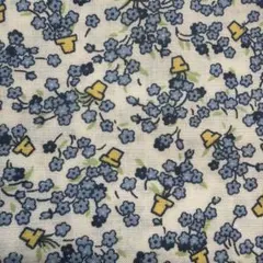 Item thumbnail for item fa6a9d27-e148-4699-8518-05e62f6e8209