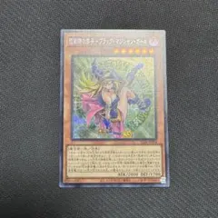 魔術師の弟子 ブラックマジシャンガール　シークレット