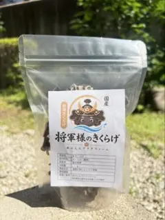 国産乾燥きくらげ 200g 無農薬 水のプロが育てる極厚 将軍様のきくらげ 