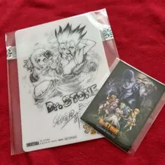 Dr.STONE セット