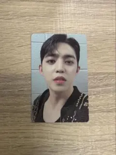 SEVENTEEN セブチ エスクプス トレカ