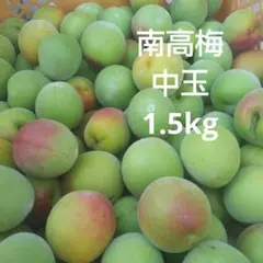 福島県産 中玉南高梅 1.5kg 送料込みのサムネイル