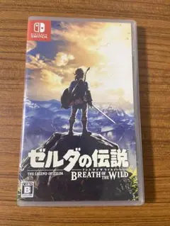 ブレワイ switch
