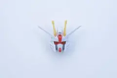 HG フリーダムガンダム 頭部