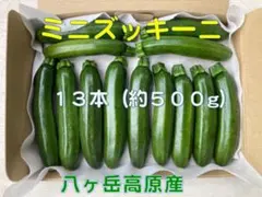 ズッキーニ(緑) ミニサイズ　１３本のサムネイル
