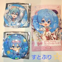 ゔ*る様 ☆すとぷり☆　ころんくん　缶バッジ　まとめ