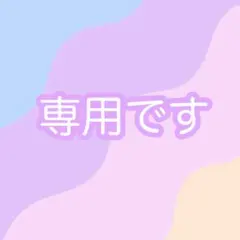 ori様 リクエスト 2点 まとめ商品