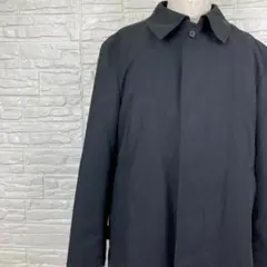 Item thumbnail for item 30dba309-aece-4e36-bae6-19c4cdb42693