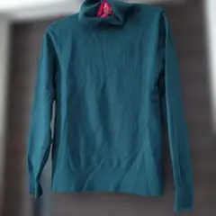 ロペピクニック