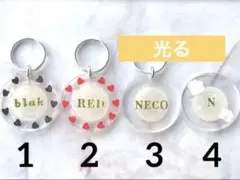 빛나는 로스트 카드 디재스터 자전거 열쇠 고리 고양이 고양이