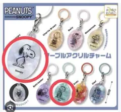 【お値下げ】PEANUTS SNOOPY マーブルアクリルチャーム 2種