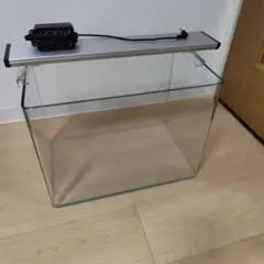 40センチ水槽 透明ガラス LEDライト付き