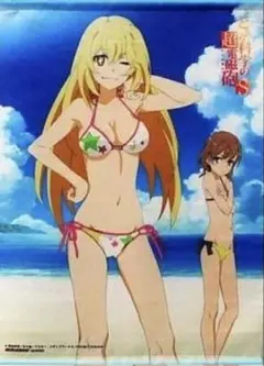 食蜂操祈 水遊び 等身大タペストリー 特大タペストリー とある科学の超電磁砲T Amazon.co.jp: とある科学の超電磁砲 食蜂操祈 描き下ろしB2