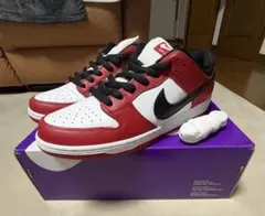 Nike SB Dunk Low Pro 