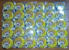 ウィンドブレーカーウェットカラーシリーズ 缶バッジ 楡井秋彦 30