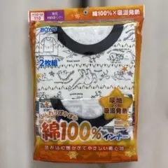 恐竜柄綿100%アンダーシャツ2枚組110