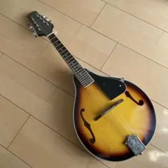 S.Watanabe マンドチェロ 1966年製 ハードケース付 フラットバック S.Watanabe マンドチェロ 1966年製 ハードケース付 フラット